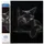 Pracht Creatives Hobby Mitternacht Katze Diamond Painting Kreativset 4.389 Diamant Mosaiksteine 36 x 28 cm