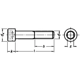 E-Norm Zylinderschraube DIN 912 M 6 x 60