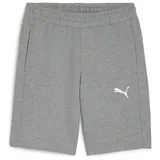 Puma teamGOAL Casuals Sweatshorts Herren 33 medium gray heather/white 3XL
