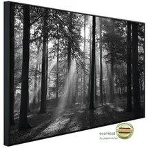 Papermoon Infrarotheizung »EcoHeat - Forrest Morgen in schwarz+weiss«, Matt-Effekt - bunt