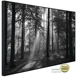Papermoon Infrarotheizung »EcoHeat - Forrest Morgen in schwarz+weiss«, Matt-Effekt - bunt