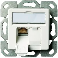 Telegärtner Netzwerkdose Unterputz Einsatz mit Zentralplatte CAT 6 2