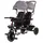 Chipolino Dreirad Hip Hop, zwei Kinder, bis 40 kg, Sitze 360° drehbar grau Metall, 49x95x131 cm, unisex, Outdoor Spielzeug, Kinderfahrzeuge