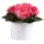 ROSEMARIE SCHULZ Heidelberg Infinity Rosenbox weiß rund konservierte Blumen Korall - 3 Infinity Rosen Durchmesser 15 cm - Geburstag Geschenk für Frauen (Korall, Medium)