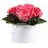 ROSEMARIE SCHULZ Heidelberg Infinity Rosenbox weiß rund konservierte Blumen Korall - 3 Infinity Rosen Durchmesser 15 cm - Geburstag Geschenk für Frauen (Korall, Medium)