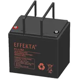 EFFEKTA BTL 12-75LX 12V 75000 mAh 1 St.