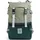 Topo Designs Rover Pack Classic 20 l grün