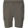 Virtus Nasas Shorts Regular Grün L