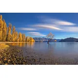 Papermoon Premium collection Fototapete Herbst im See Wanaka (B x H: 200 x 149 cm, Vlies)