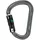 Petzl William Ball Lock Karabinerhaken - Grey - One Size