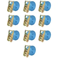VidaXL Ratschen-Spanngurte 10 Stk. 2 Tonnen 6m×38mm Blau