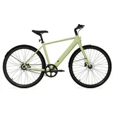 Tenways Elektro-Citybike E-Urban CGO600PRO l, grün L