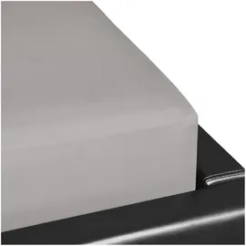 Formesse Spannbettlaken Bella Donna Baumwolle-Jersey-Elasthan 120 x 200 - 130 x 220 cm grau