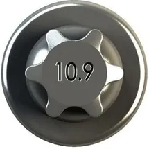 IPSA Pleuelschraube COB00800 für FIAT BMC