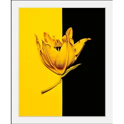 queence Bild »Blüte«, Blumen-Blumenbilder-Pflanzen-Kunst, HD Premium Poster-Druck inkl. Holzrahmen queence Farbe Rahmen: schwarz + Farbe Bild(er): bunt
