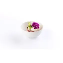 Bagastro Schüssel rund 150ml, 40 Stück, Servierschüssel aus biologisch abbaubaren und nachwachsendem Rohstoff, Maße (Ø x H): 90 x 40 mm
