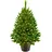 LED 60 cm