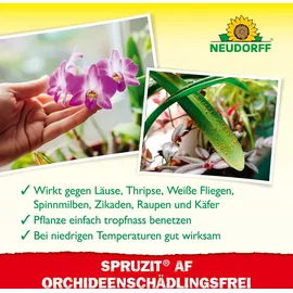 NEUDORFF Spruzit AF Orchideen Schädlingsfrei Insektizid 250 ml