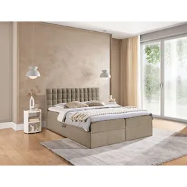 Fun Möbel Boxspringbett Schlafzimmerbett TORIBO 120x220cm Stoff Coral Dunkelbeige