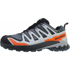 Salomon XA Pro 3D V9 GTX Herren Turbulence/Black/Burnt Ochre 46 2/3
