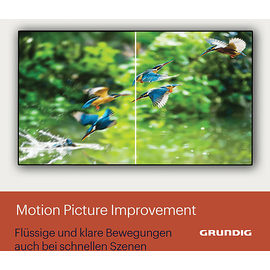 Grundig 50 GUB 7340 LED TV (Flat, Zoll / 126 cm, HDR 4K, SMART TV, Google TV)
