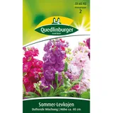 Quedlinburger Sommer-Levkojen, Frühe hohe Mischung''