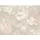 ascreation Vliestapete Secret Garden 32 cm 336042
