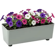Lamela Rechteckiger Pflanzkasten 37 x 17 x 6 cm Graugrün
