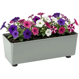 Lamela Rechteckiger Pflanzkasten 37 x 17 x 6 cm Graugrün