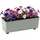 Lamela Rechteckiger Pflanzkasten 37 x 17 x 6 cm Graugrün
