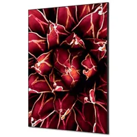 Showdown Displays Showdown Textile Wanddekoration Set A1 Kaktus vi