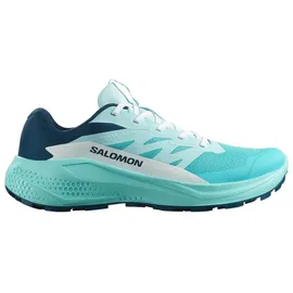 Salomon Alphaglide Damen Blau 44