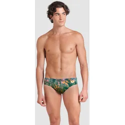 Badehose Slip Herren arena Flora - Flora - 6