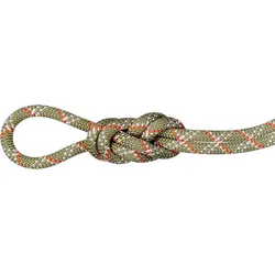 Mammut 9.5 Gym Classic Rope classic standard (01231) 40 m