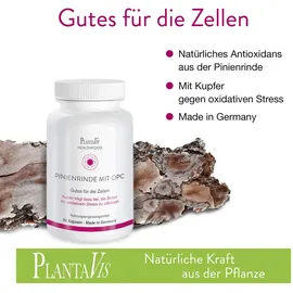 PlantaVis Pinienrinde mit OPC Kapseln 60 St.