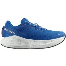 Salomon Herren Aero Glide 3 blau 45.3