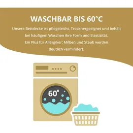 Schlafmond Sommerdecke "Der kleine Prinz" 155x220 - Beige