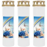 HS Candle Grabkerze Grablicht - 3er Pack - mit Motiv (Schmetterling) - ca 170h / 7 Tage Brenndauer je Kerze (26cm, Ø 7cm) - viele versch. Designs