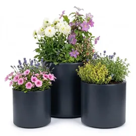 Prosperplast HEOS 39 x 39 x 38 cm Anthrazit