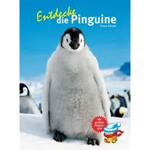 Natur und Tier Entdecke die Pinguine
