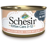 Schesir Kitten in Gelee 6 x 85 g - Huhn mit Aloe