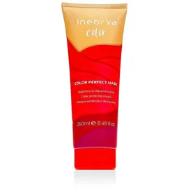 Inebrya Color Perfect Maske 250 ml