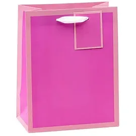 TSI Geschenktüten Mittel 18 x 23 cm 12 St. Blau/Rosa/Rot/Grün