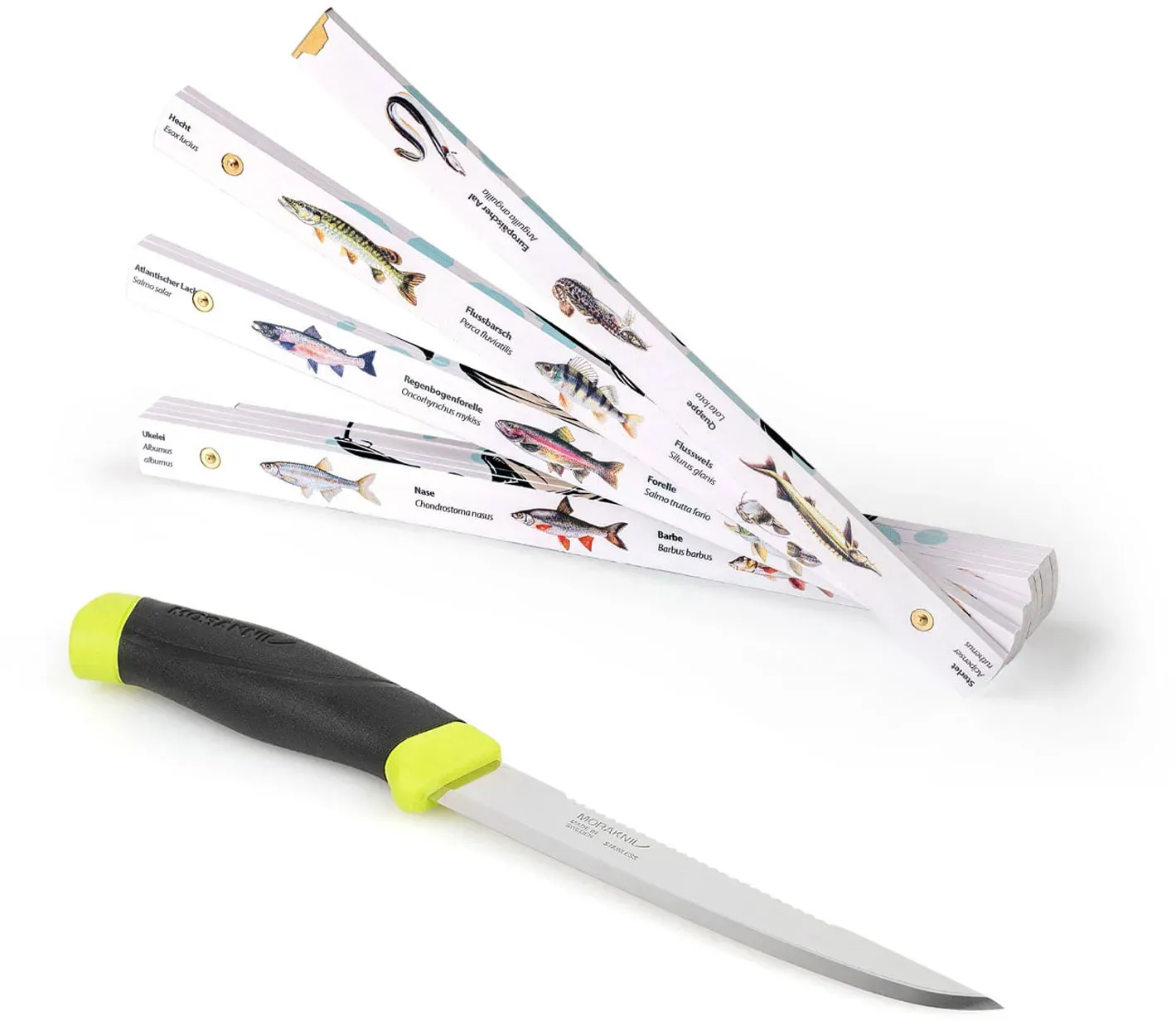 Geschenk für Angler: 2m Zollstock & Scaler 150 Fischmesser