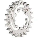 Gates Carbon Drive Pign.Post.CDX, 22T, Ritzel Sport, Mehrfarbig (Mehrfarbig), Einheitsgröße