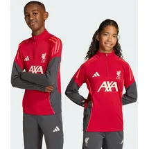 adidas FC Liverpool Sweatshirt 2025/26 rot Kinder Gr. 164