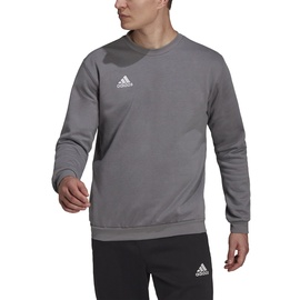 Adidas Entrada 22 Sweatshirt Team Grey Four L