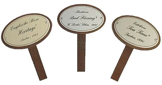 Schild für Rosen mit Spieß 50 cm (Strauchrosen) (Text: Pat Austin)