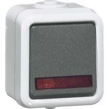 PEHA by Honeywell Wechselschalter Grau 302111