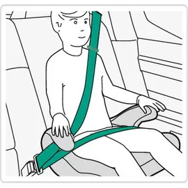 Paw Patrol Marshall rot